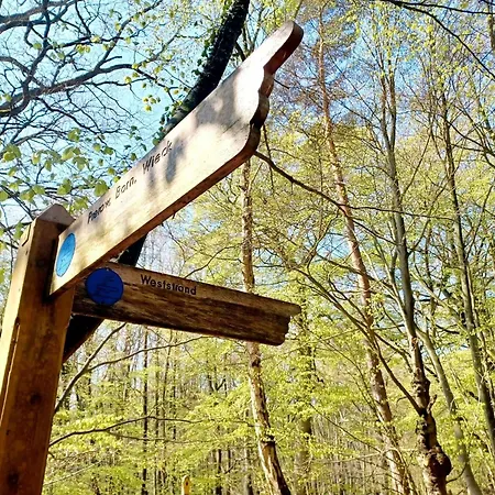 Weststrand - Heuser Prerow